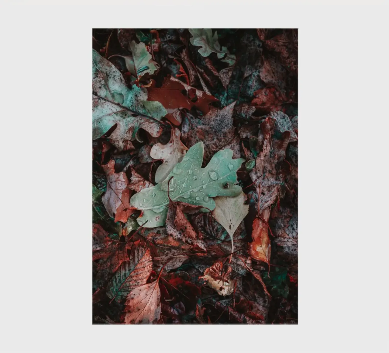 Various leaves on the forest floor notebook by Marcus Beckert | Fotografie