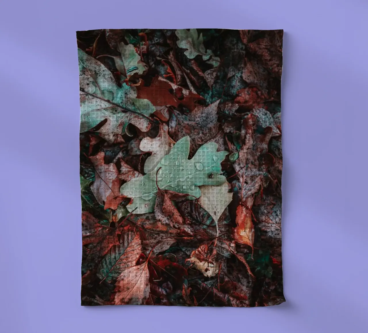 Différentes feuilles mortes sur le sol de la forêt torchon de Marcus Beckert | Fotografie