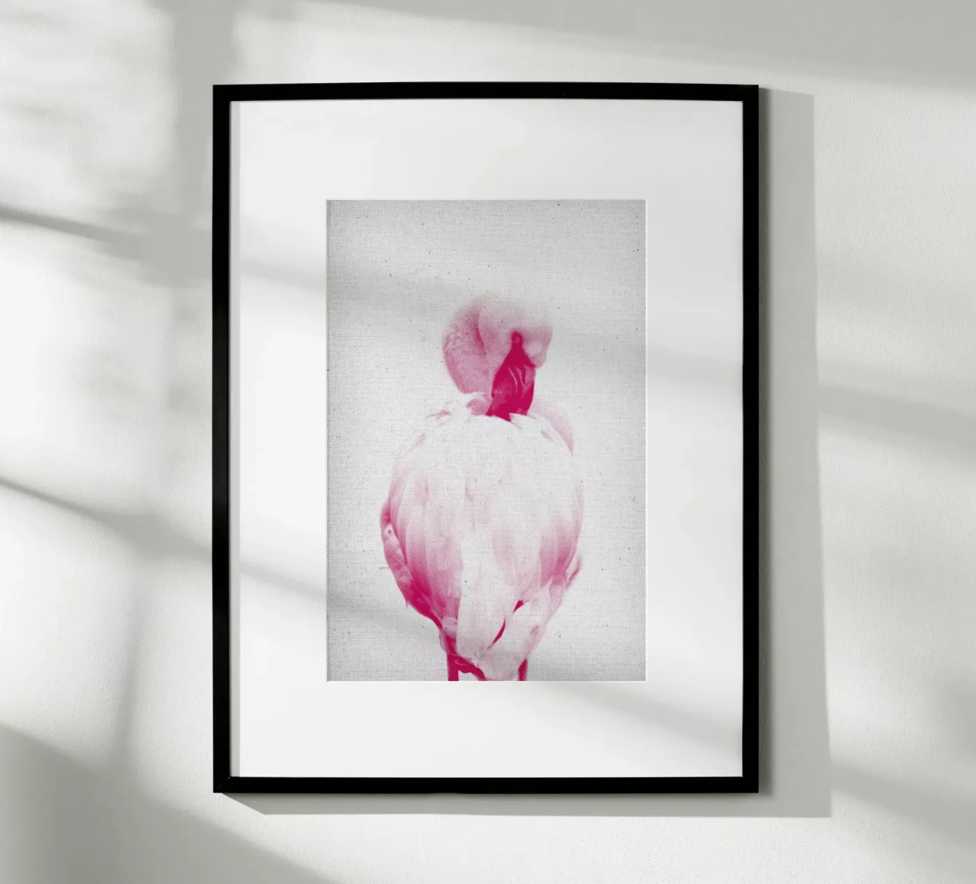 Flamingo 02 poster da Froilein Juno