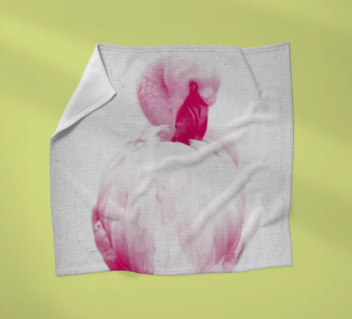 Flamingo 02 Fleecedecke von Froilein Juno
