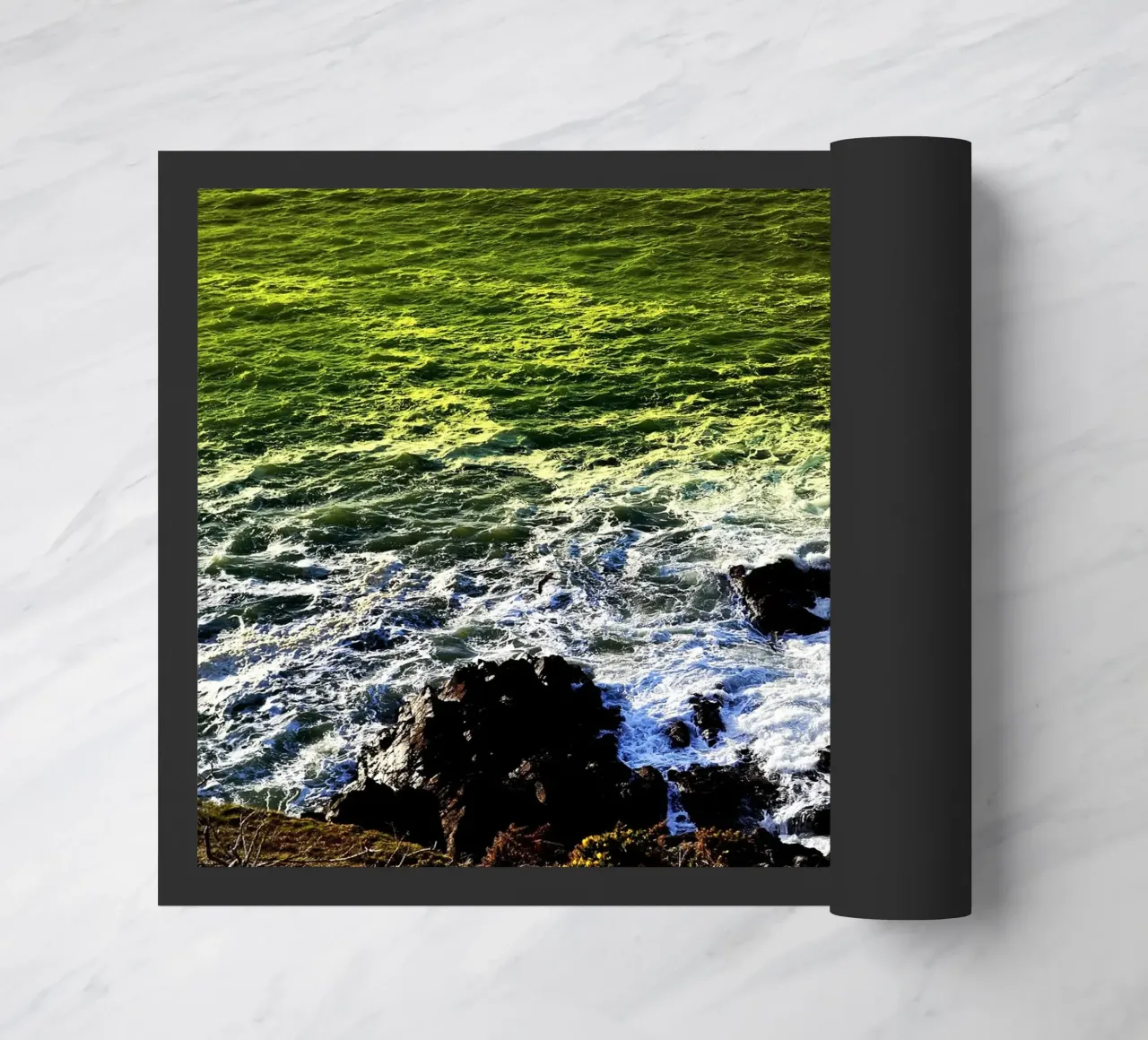 FAA199 zerbino da Thierry vobmann photography