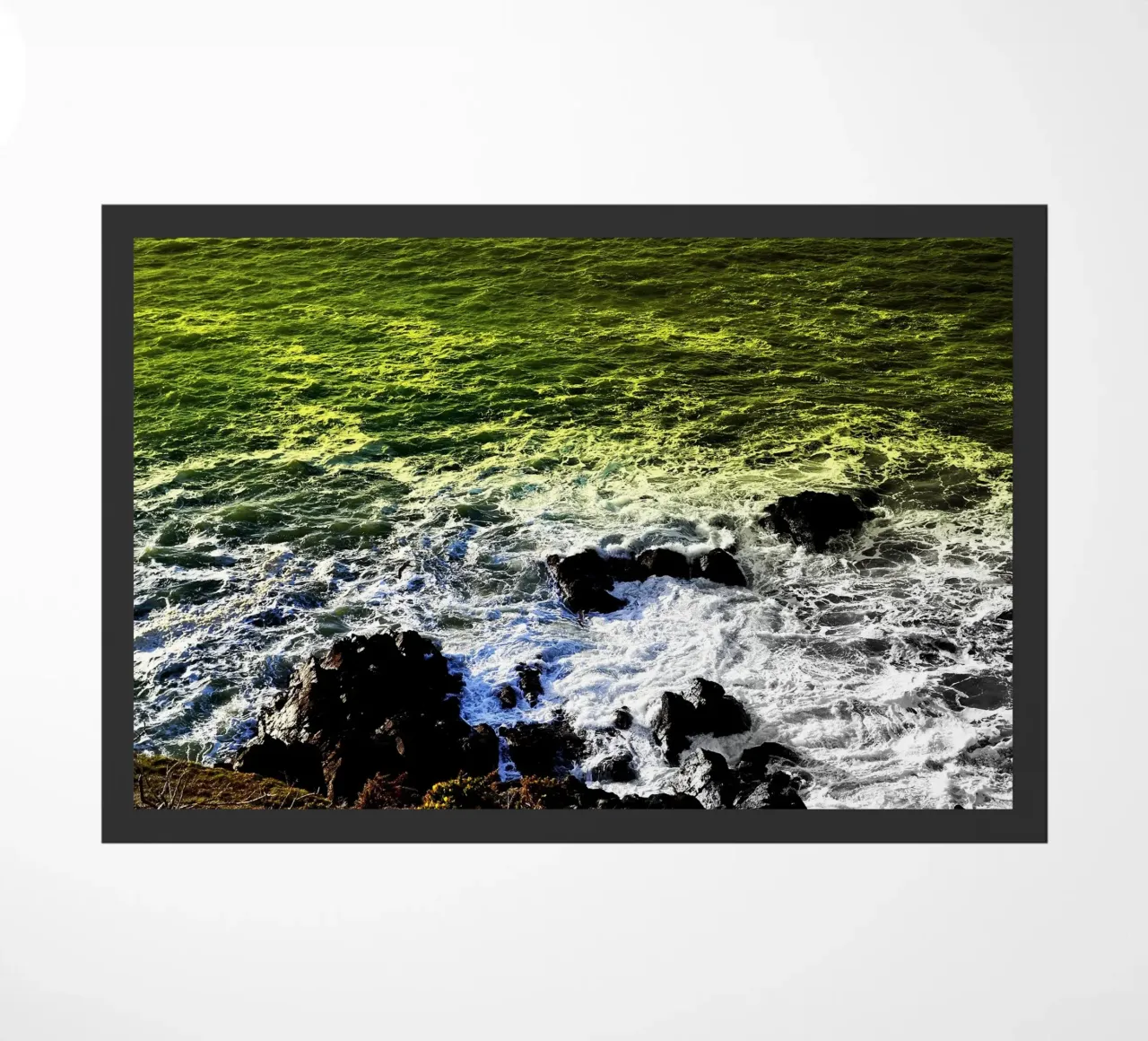 FAA199 zerbino da Thierry vobmann photography