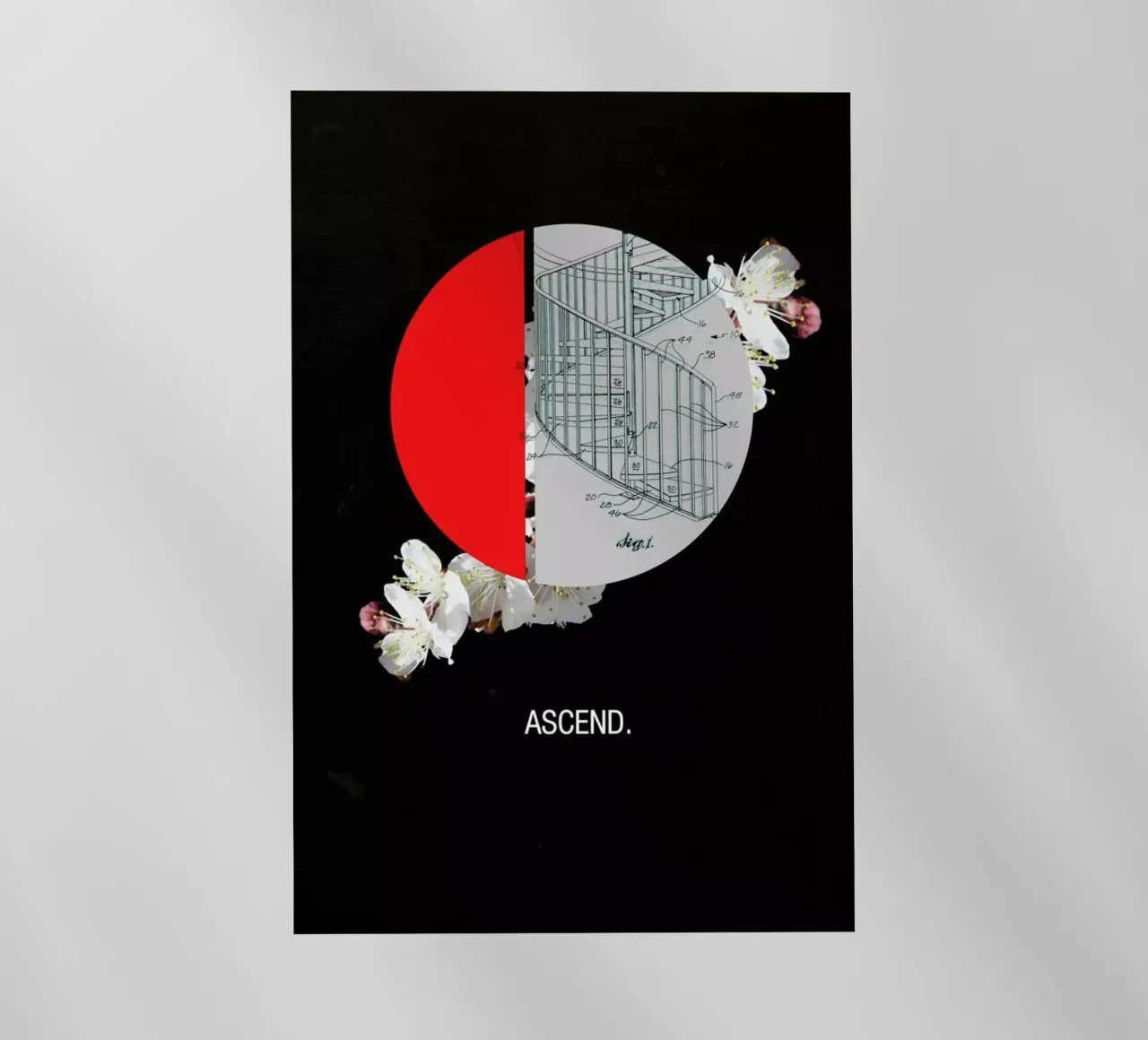Ascend pellicola backlit da Frank Moth