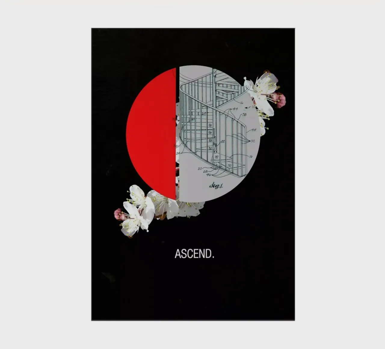 Ascend notebook by Frank Moth