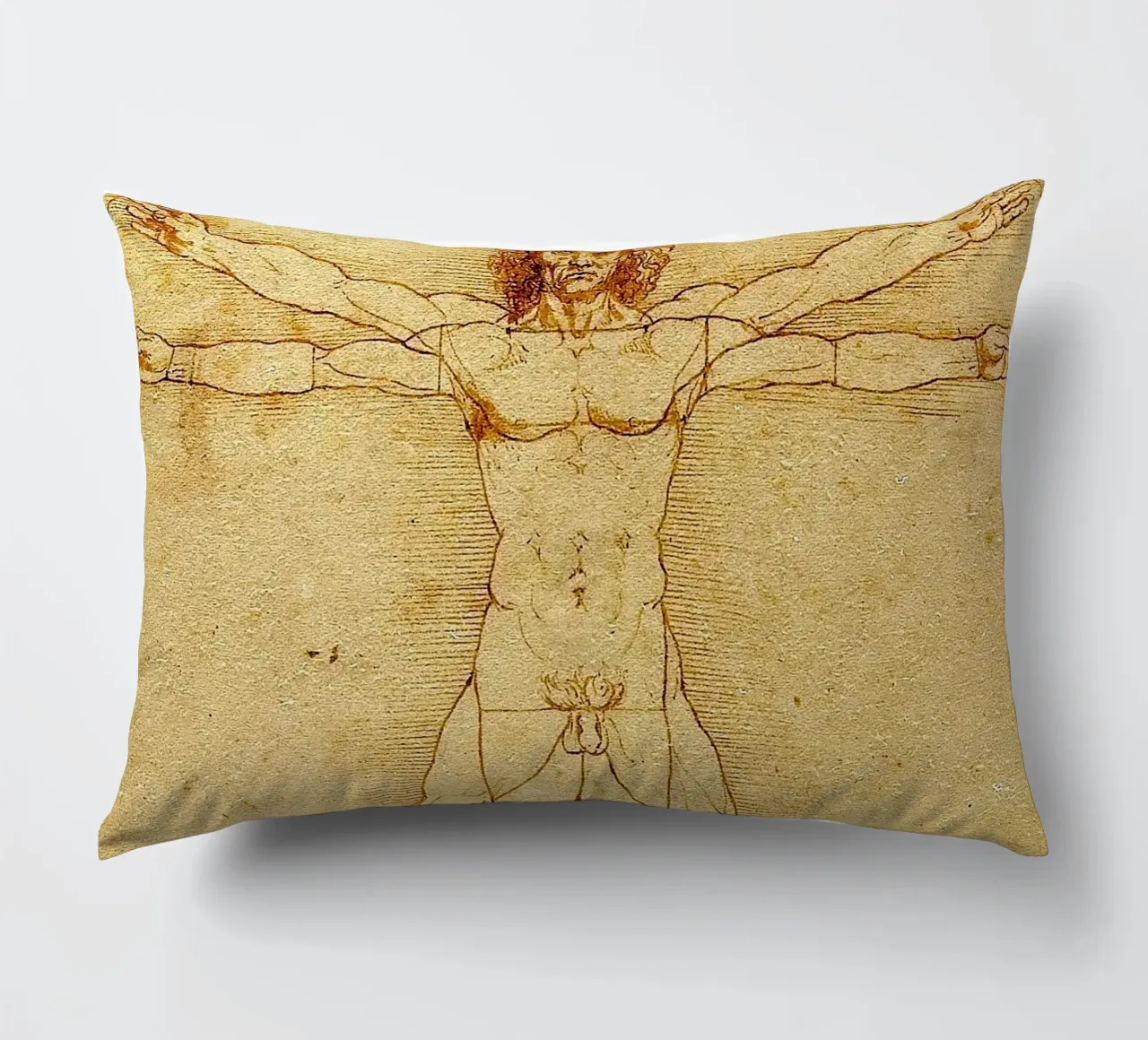 Leonardo da Vinci - The Vitruvian Man cuscino da Timeless Artworks