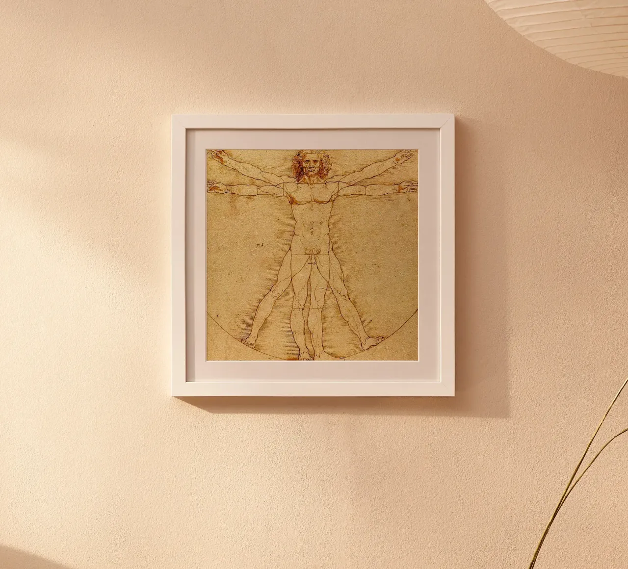 Leonardo da Vinci - The Vitruvian Man carta hahnemühle da Timeless Artworks