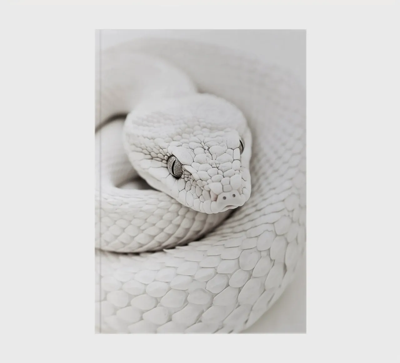 Elegante serpente bianco diario da Carinaprint