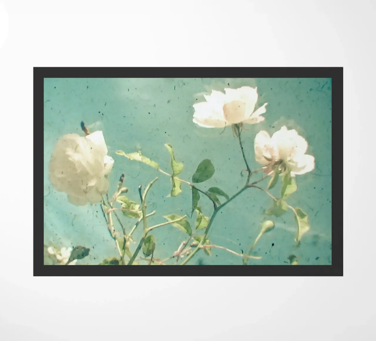 White Rose doormat by Cassia Beck Photography