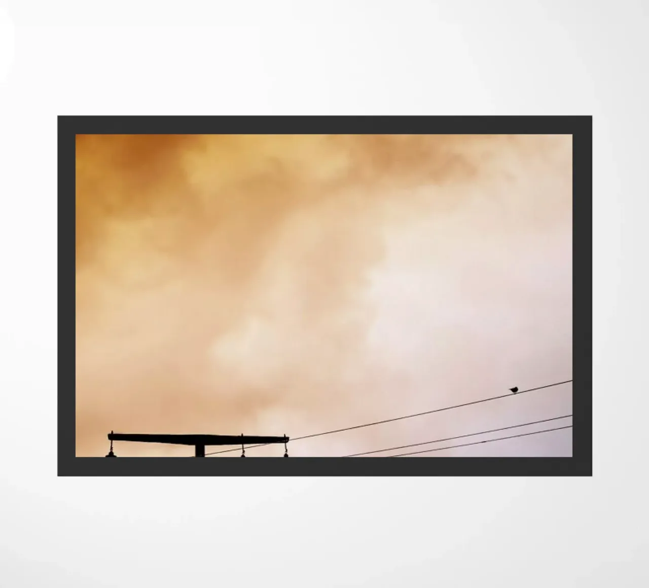 Birdy zerbino da Amy & Kurt