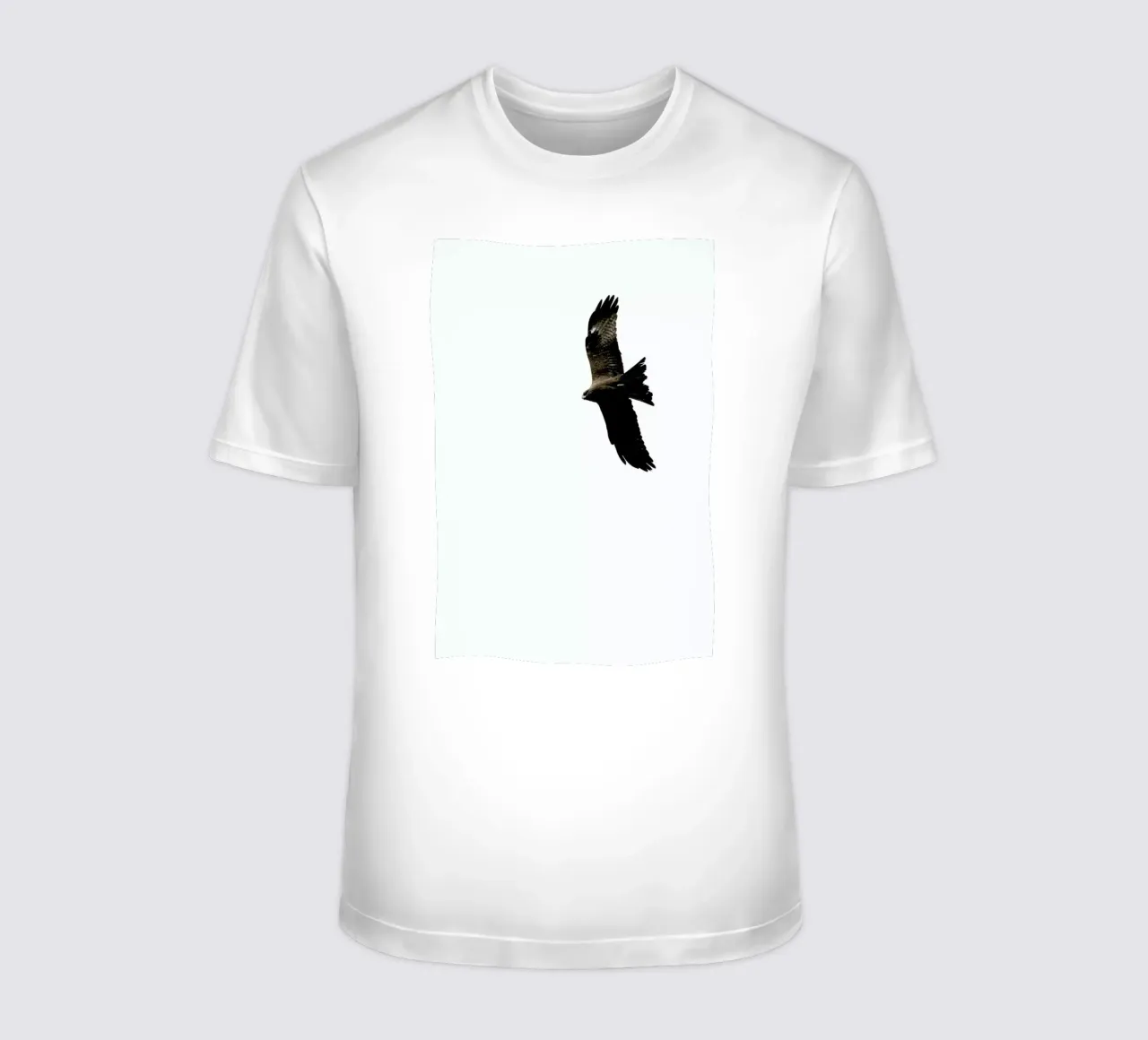 Bussard t-shirt da Amy & Kurt