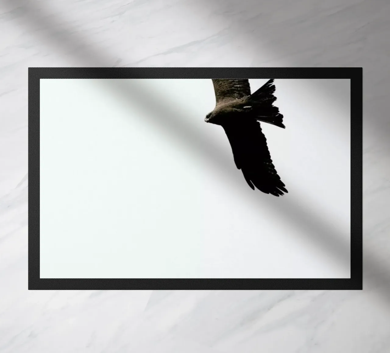 Bussard zerbino da Amy & Kurt