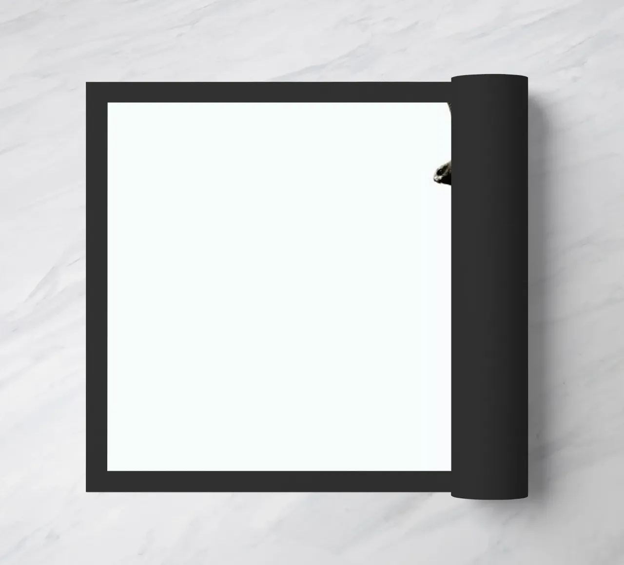 Bussard zerbino da Amy & Kurt