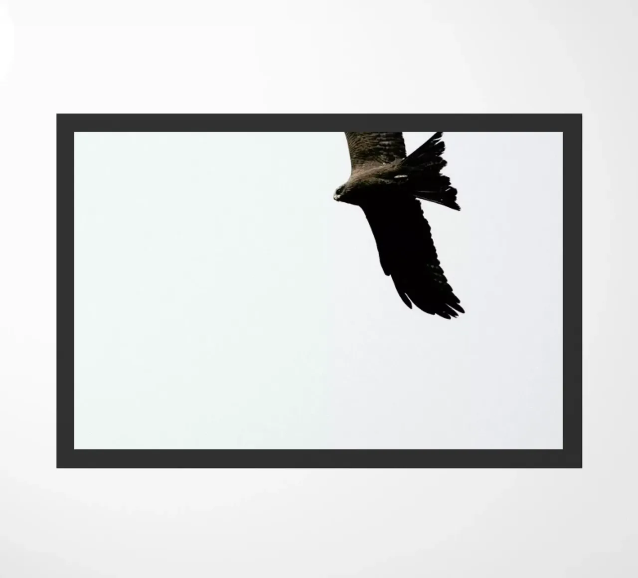 Bussard zerbino da Amy & Kurt