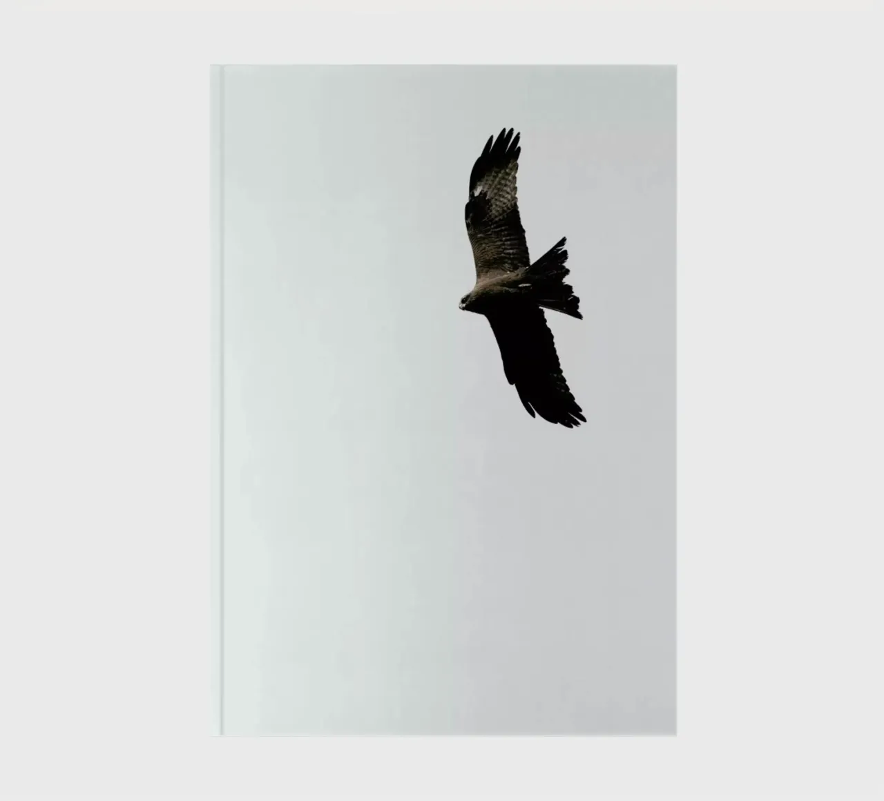 Bussard notebook by Amy & Kurt
