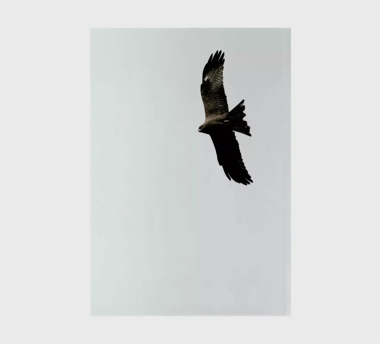 Bussard notebook by Amy & Kurt