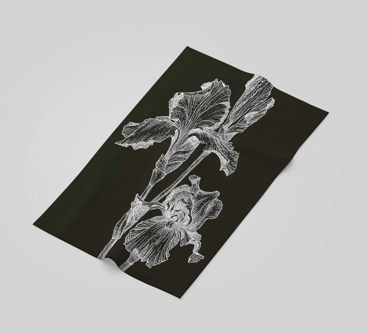 Orchids - White on Grey telo mare da Pen & Ink