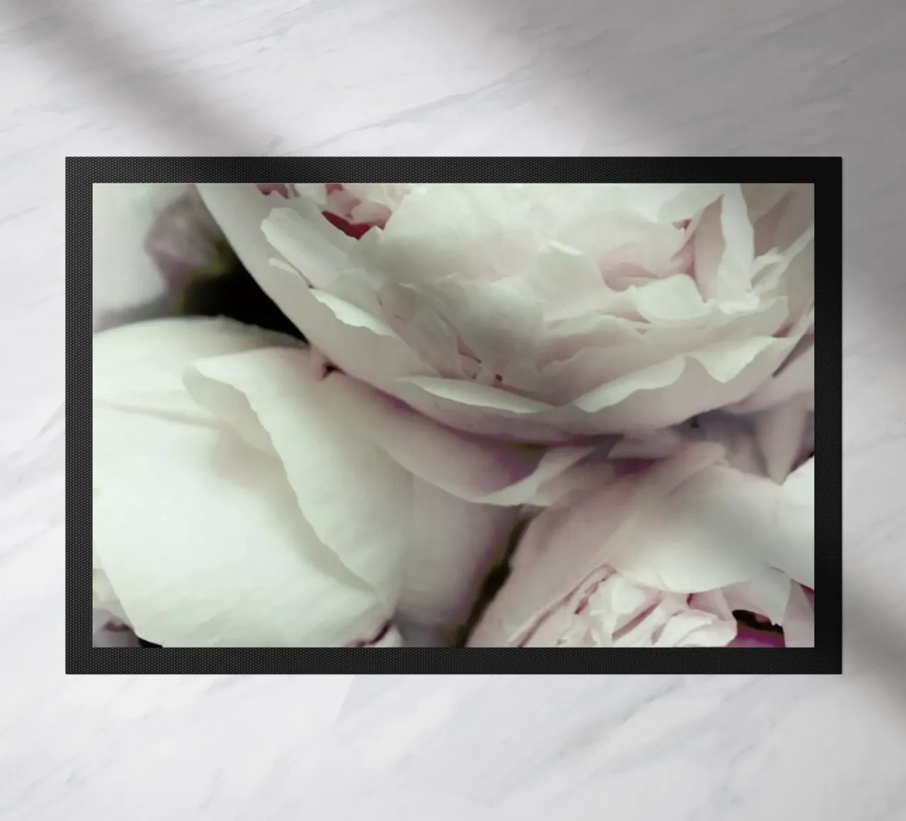 Pfingstrosen zerbino da Amy & Kurt