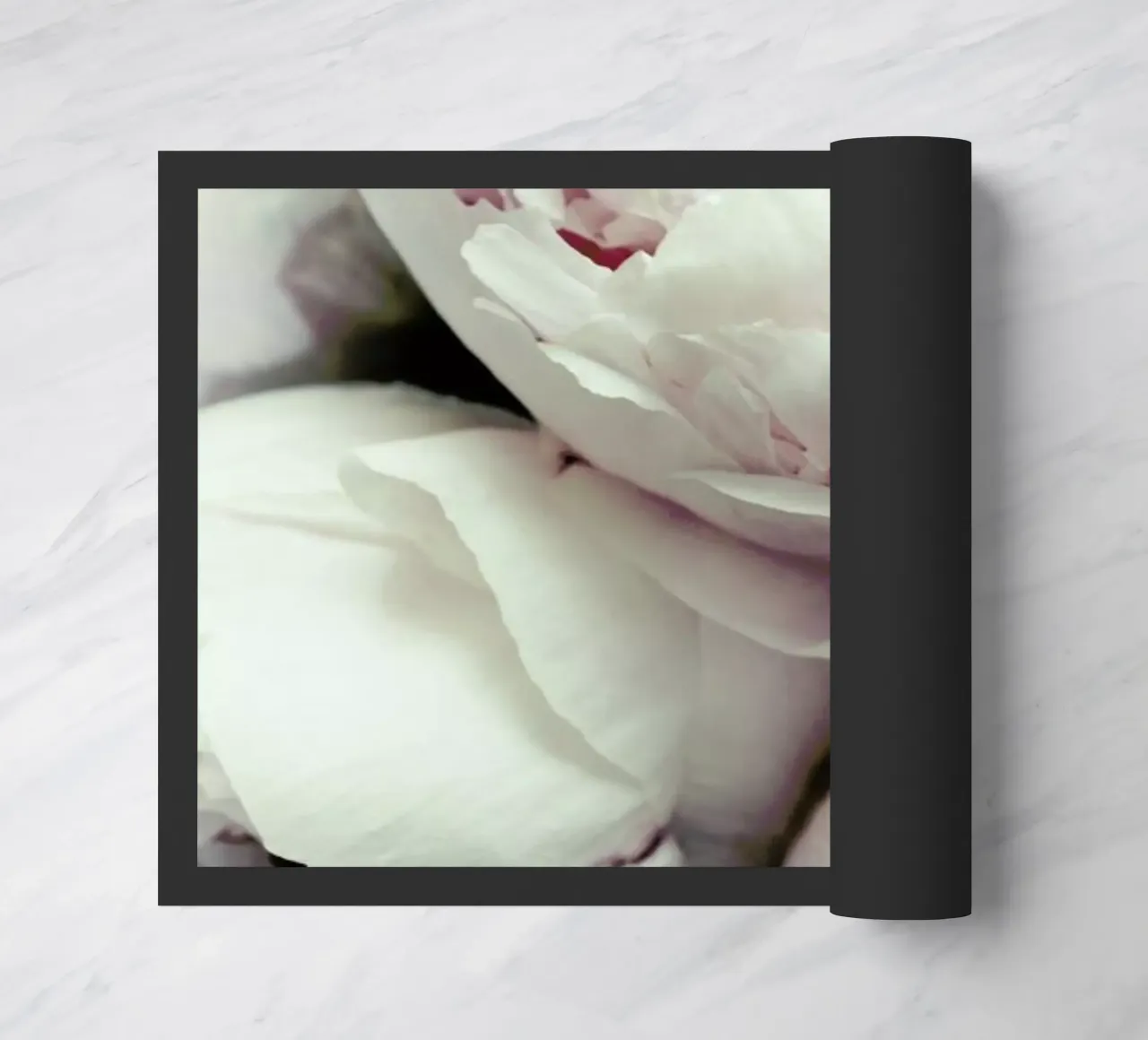 Pfingstrosen zerbino da Amy & Kurt