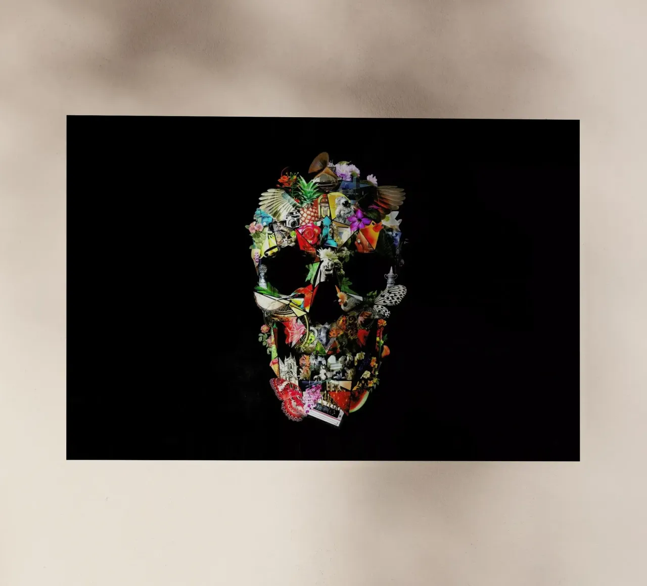 Fragile pellicola backlit da Ali Gulec