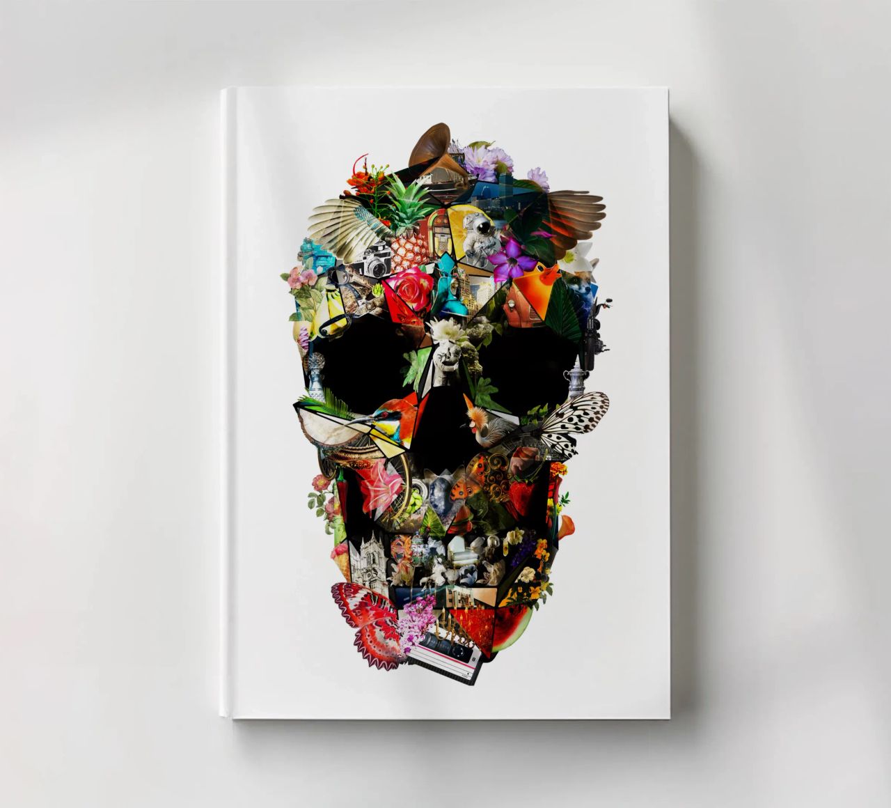 Fragile diario da Ali Gulec