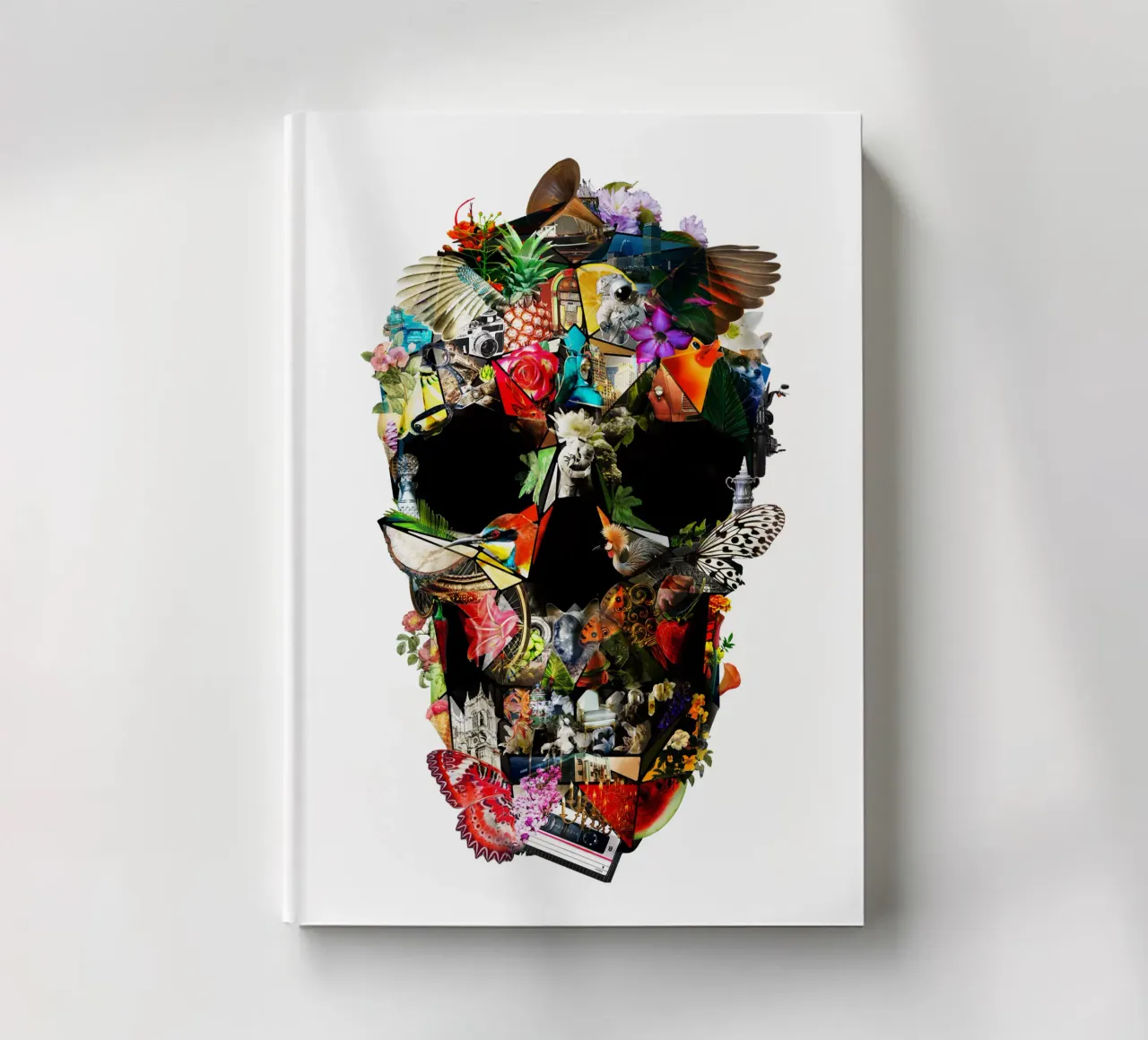 Fragile notebook by Ali Gulec