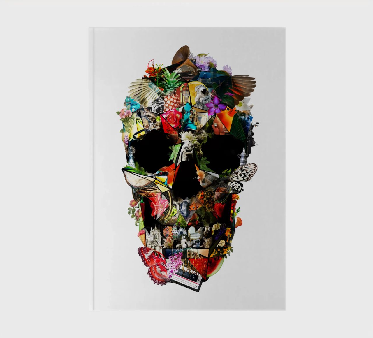 Fragile diario da Ali Gulec