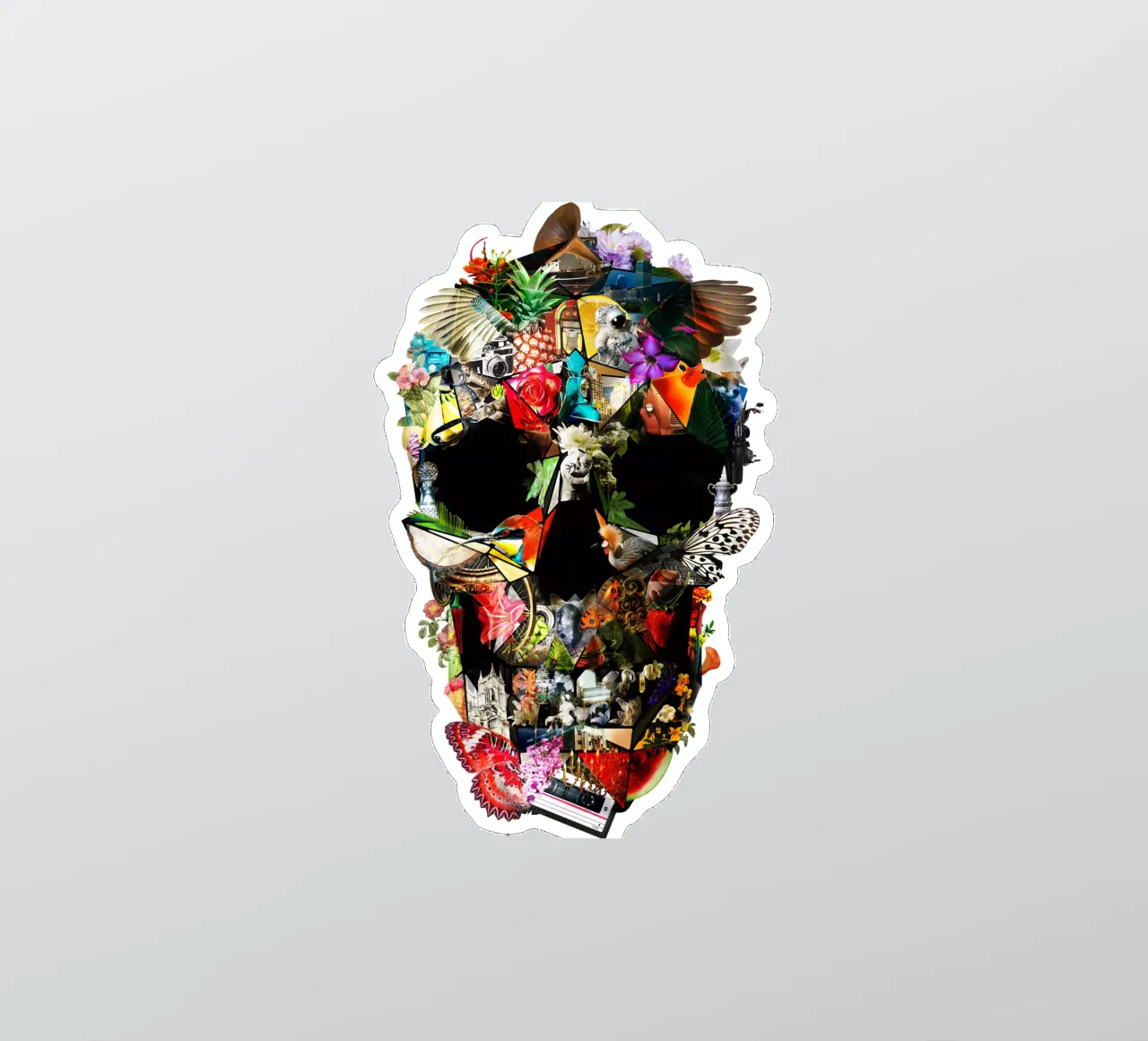 Fragile adesivo da Ali Gulec