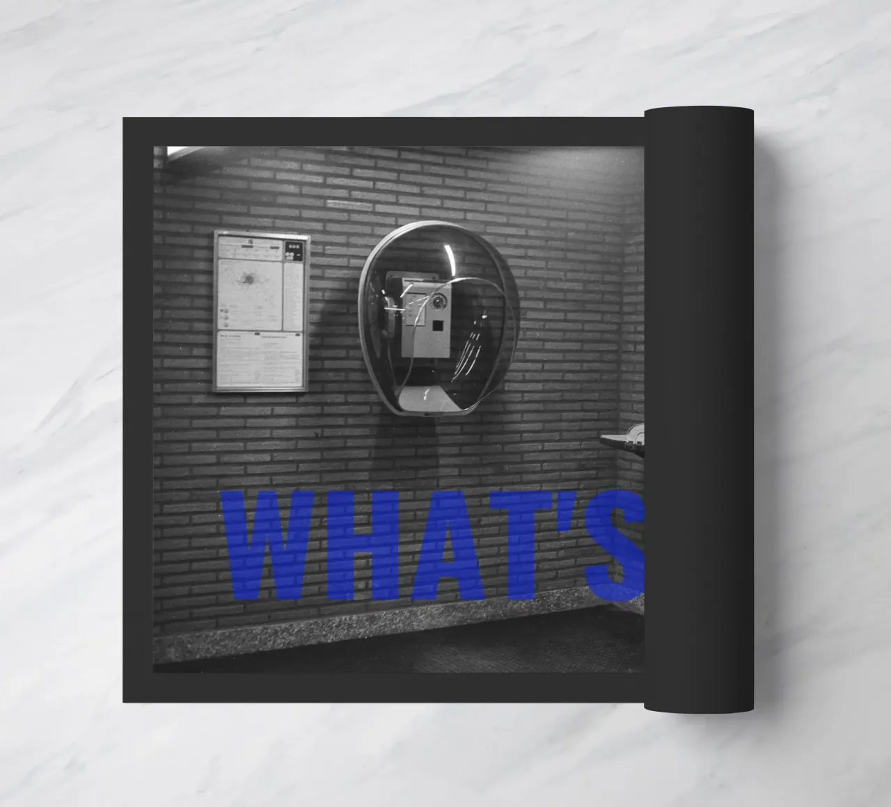 What'sUpBruxelles zerbino da DragonFly