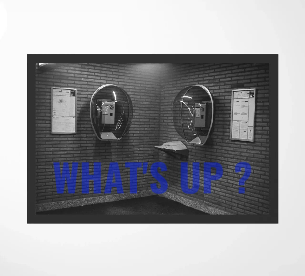 What'sUpBruxelles zerbino da DragonFly