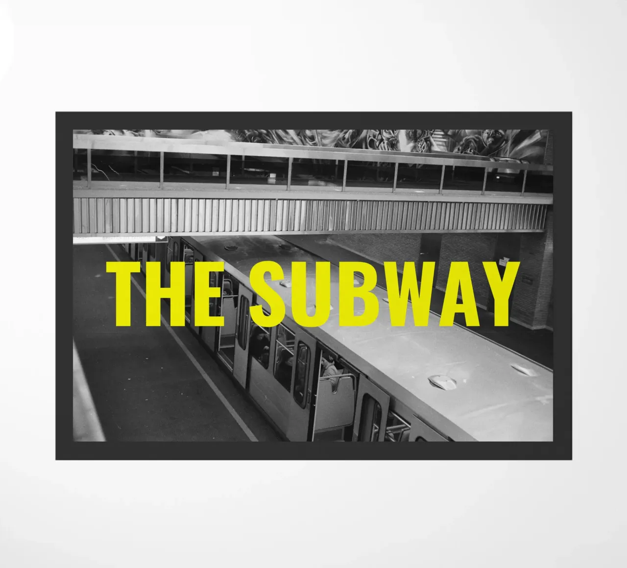 BruxellesSubway zerbino da DragonFly