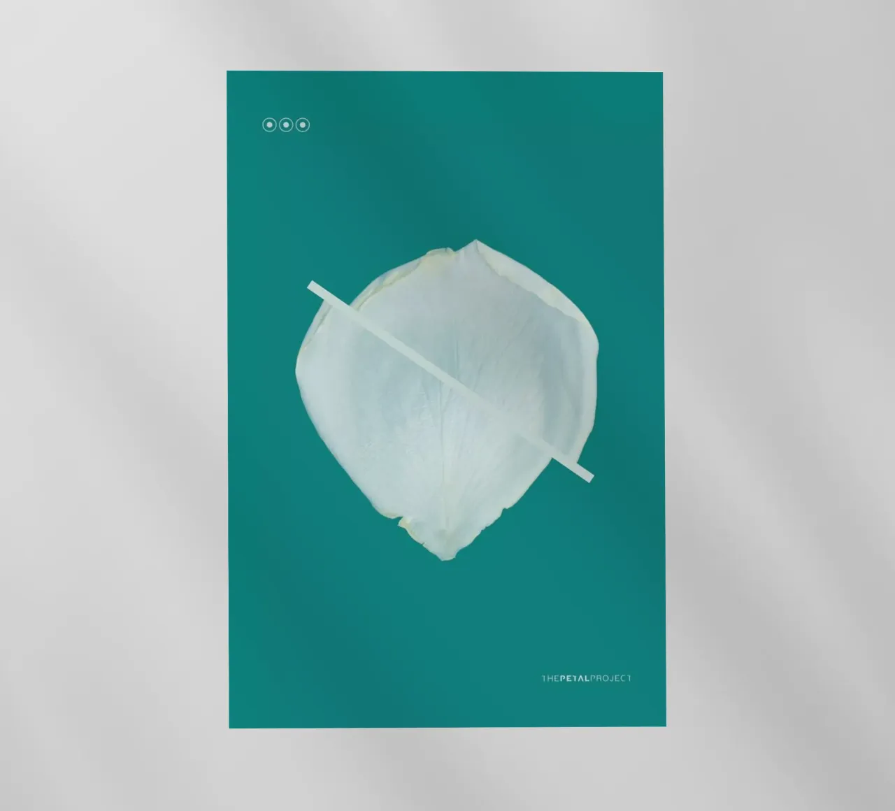 Petal Project No. 03 pellicola backlit da Bryon S. White