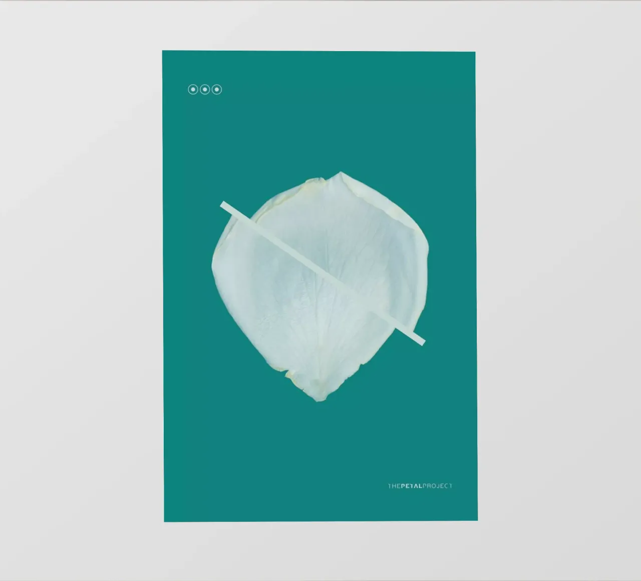 Petal Project No. 03 pellicola backlit da Bryon S. White