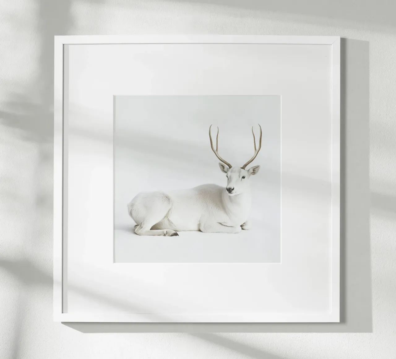 Elegante cervo bianco 1 poster da Carinaprint