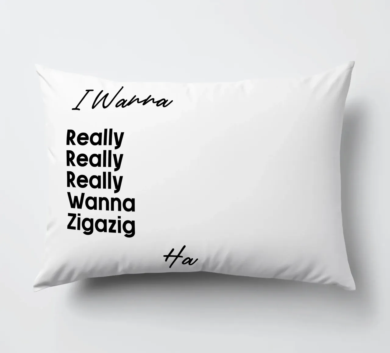 Je veux vraiment vraiment vraiment vouloir Zigazig Ha coussin de YV TYPOGRAPHY