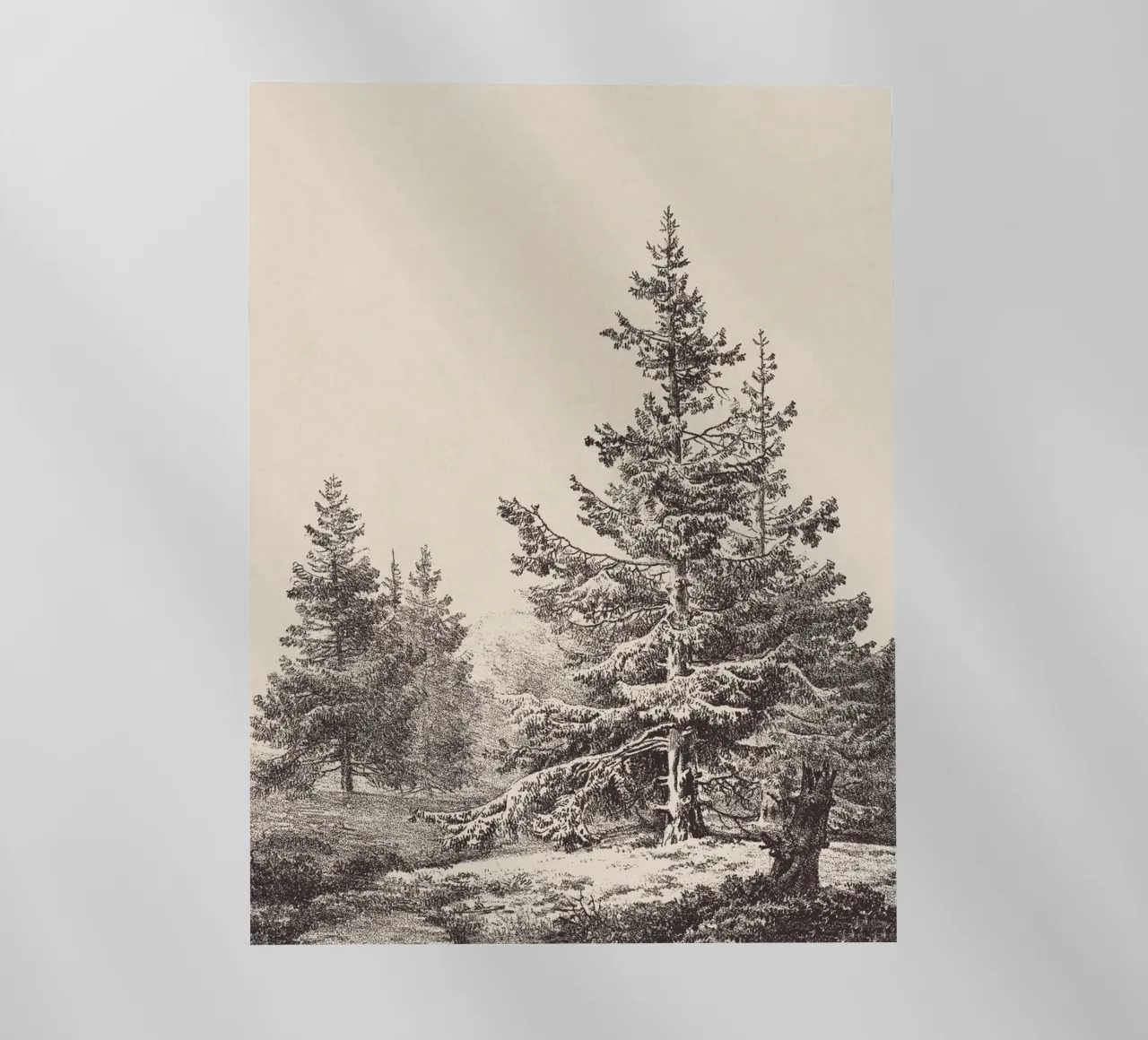 Tree Sketch - Hemlock forest backlit film by apoloprints