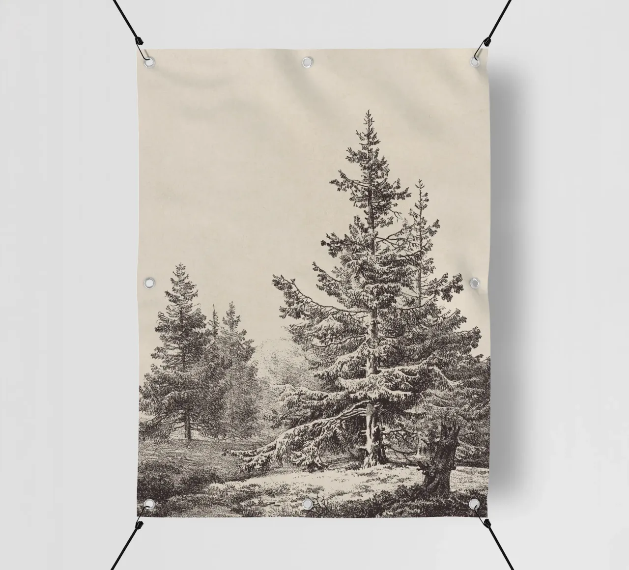 Tree Sketch - Hemlock forest telo in pvc da apoloprints