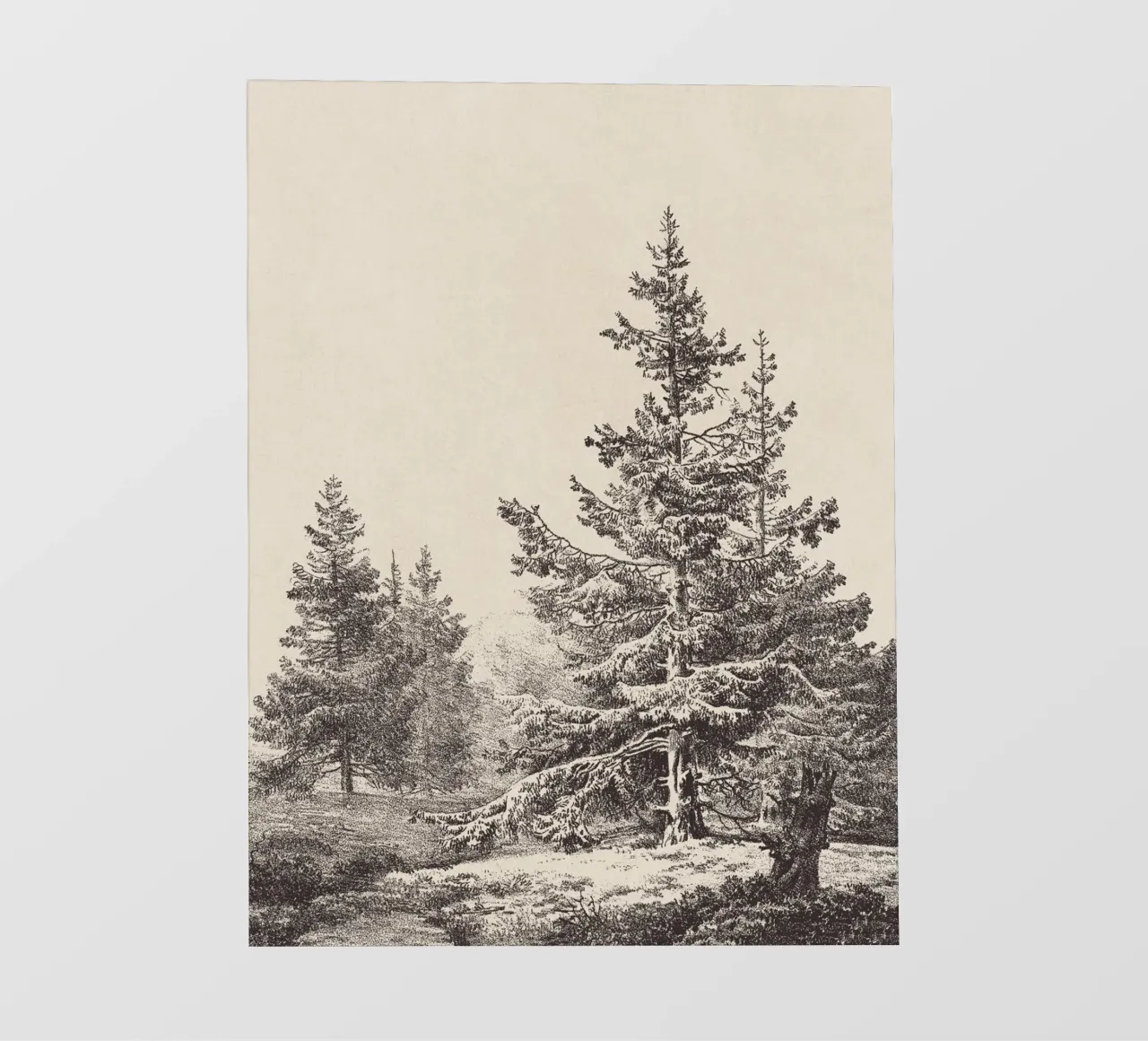 Tree Sketch - Hemlock forest telo in pvc da apoloprints