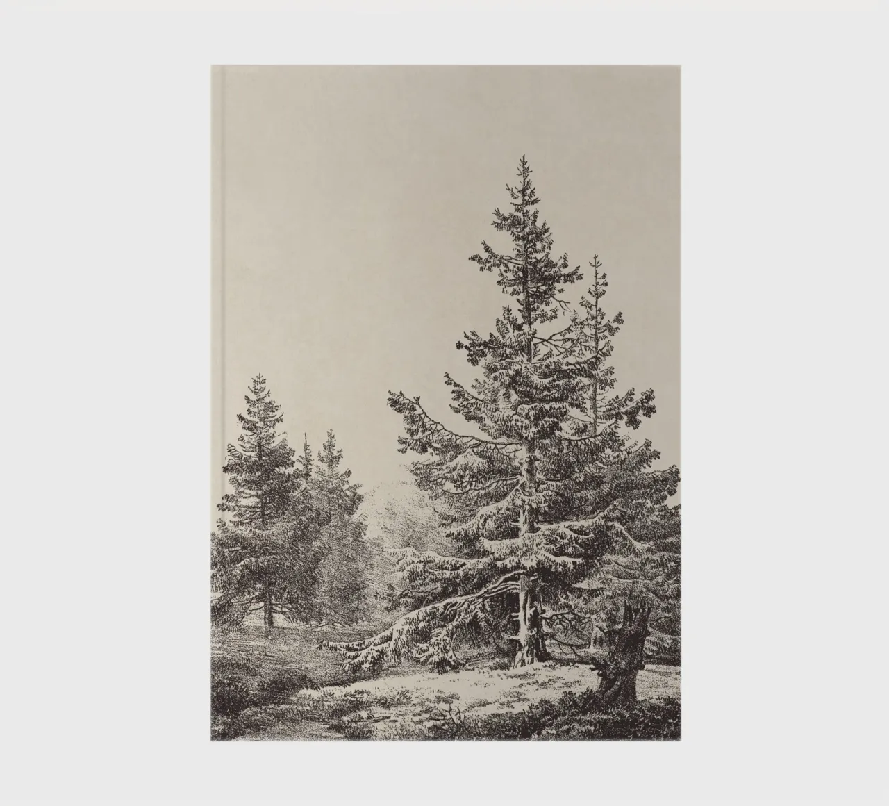 Tree Sketch - Hemlock forest notebook by apoloprints