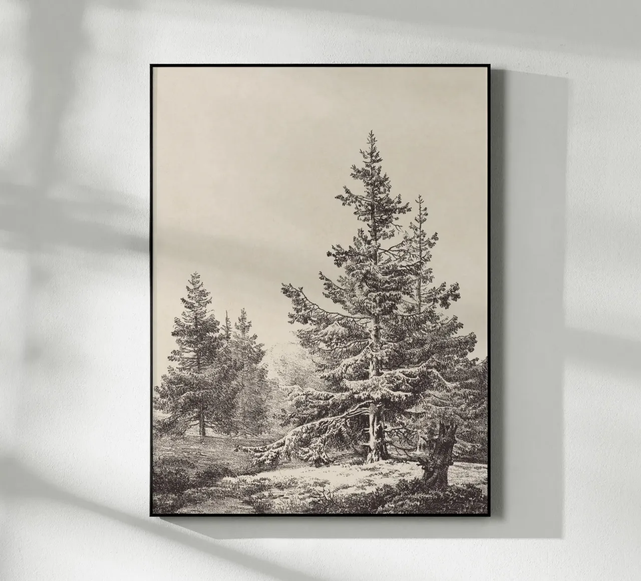 Tree Sketch - Hemlock forest plexiglass da apoloprints