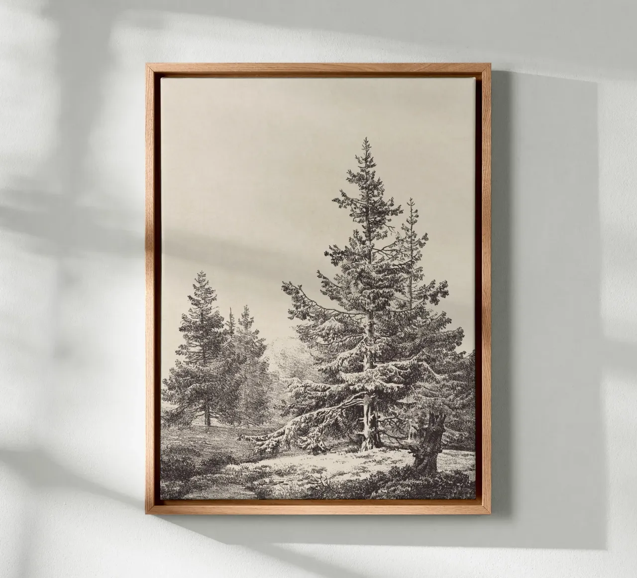 Tree Sketch - Hemlock forest tela da apoloprints