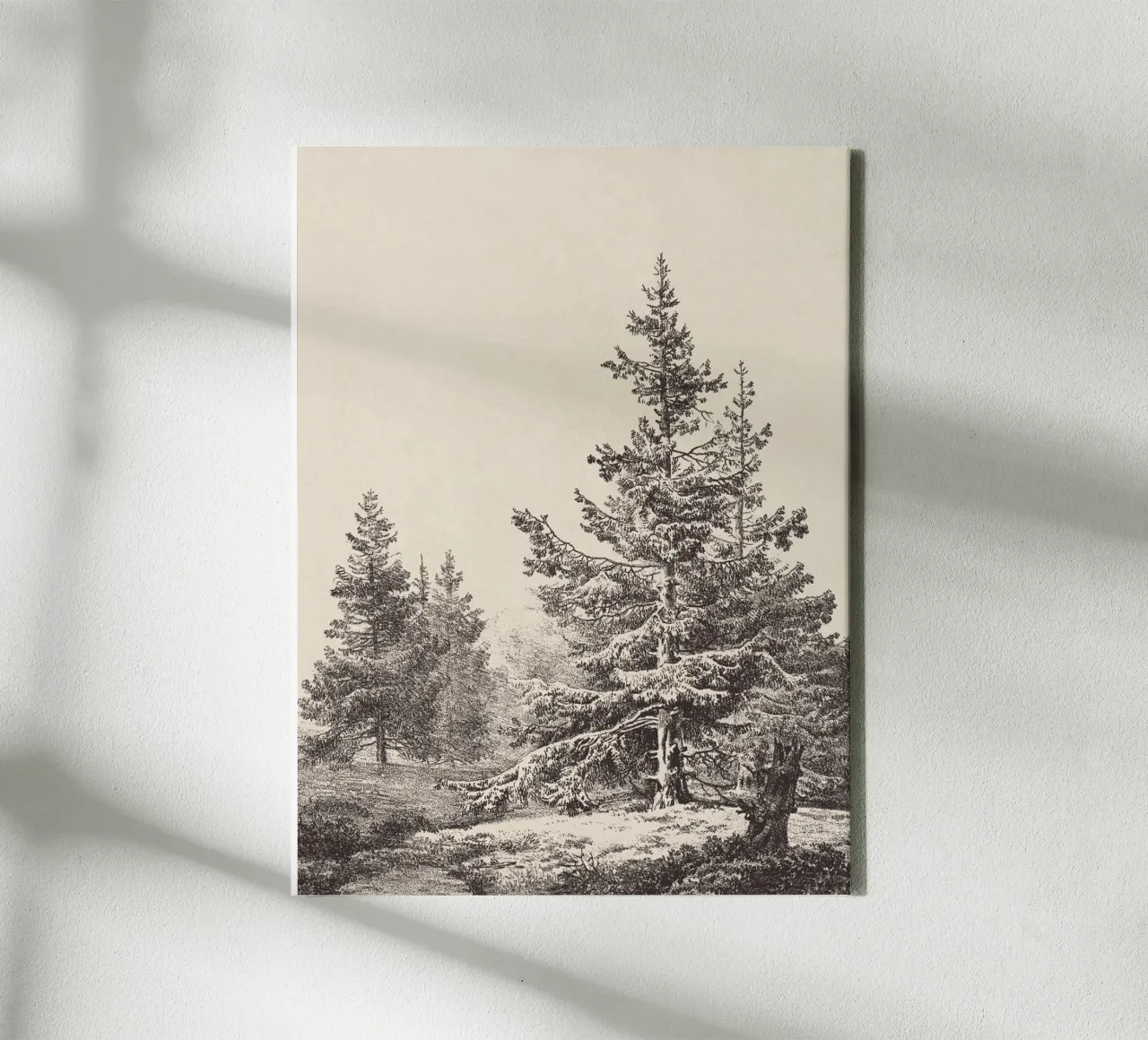 Tree Sketch - Hemlock forest tela da apoloprints