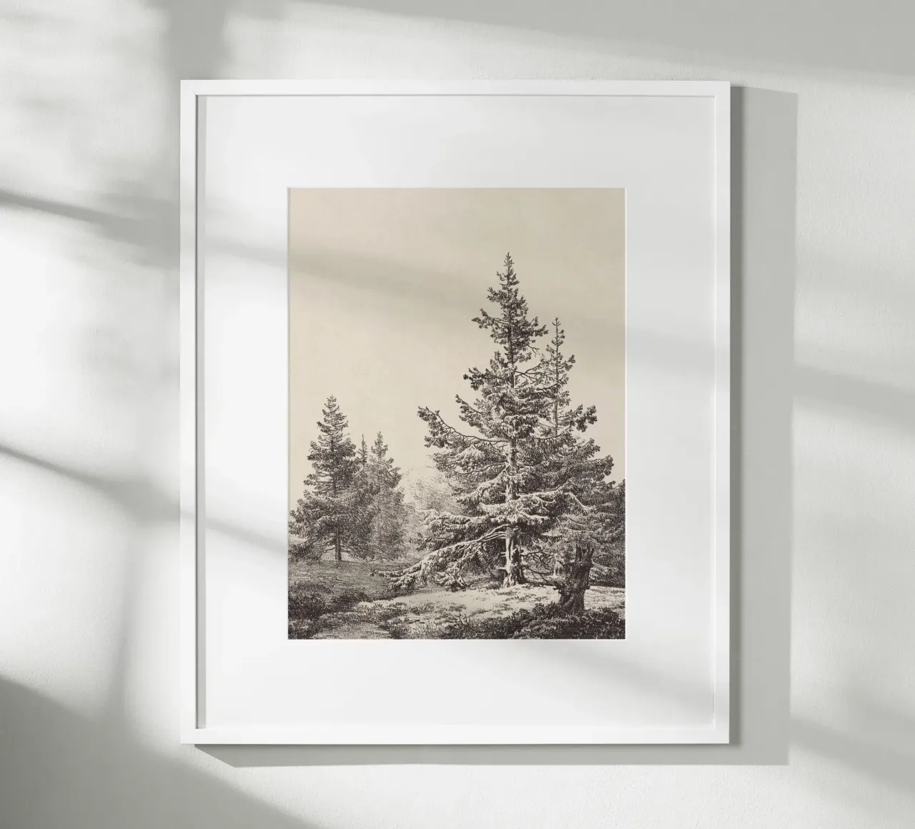Tree Sketch - Hemlock forest poster da apoloprints