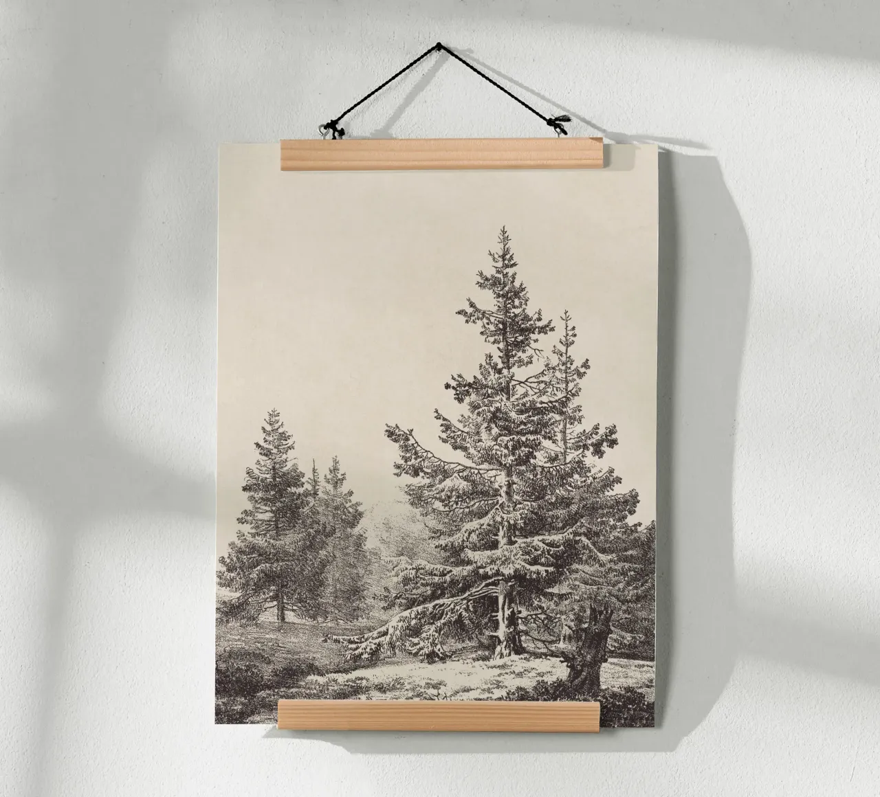 Tree Sketch - Hemlock forest poster da apoloprints