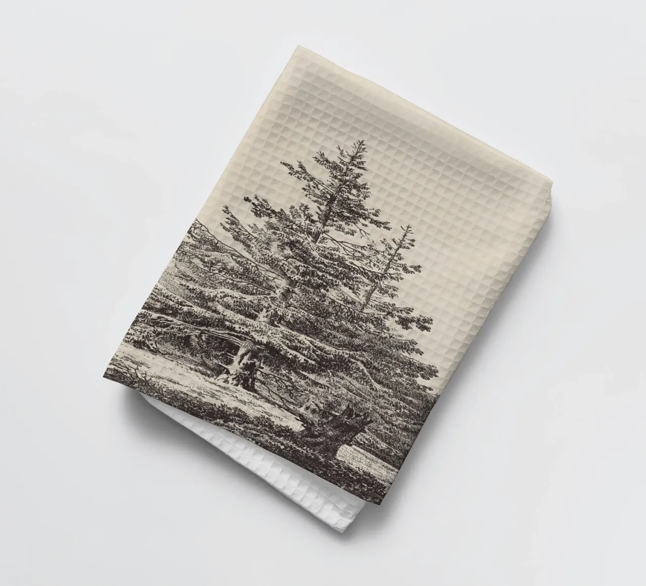 Tree Sketch - Hemlock forest torchon de apoloprints