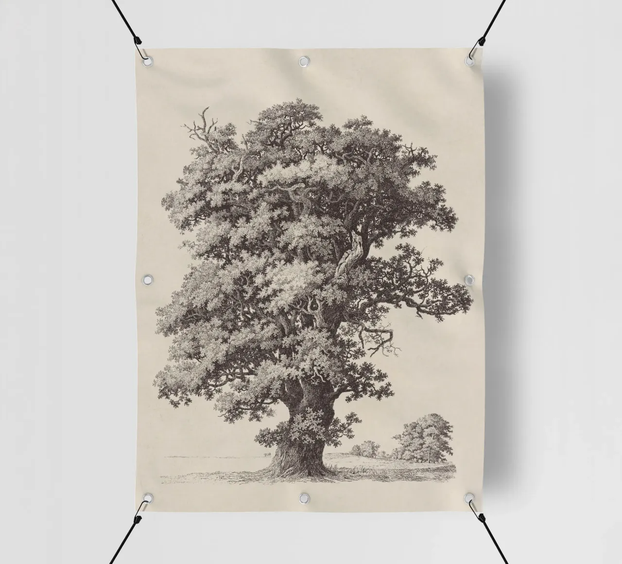 Tree Sketch - Black Oak telo in pvc da apoloprints