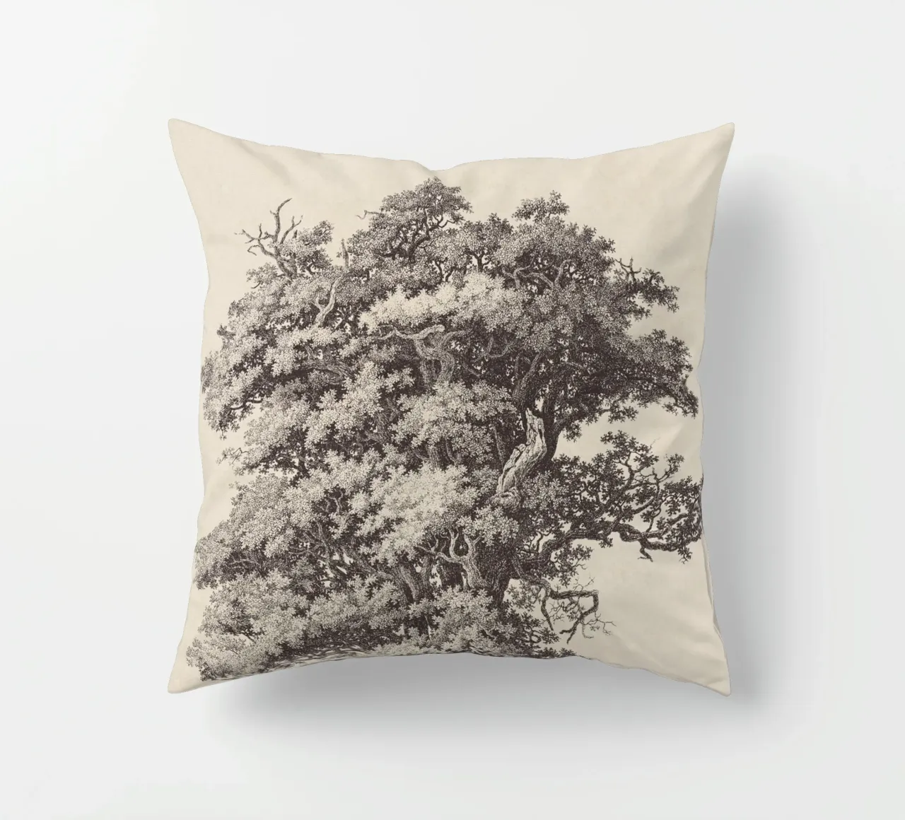 Tree Sketch - Black Oak cuscino da apoloprints