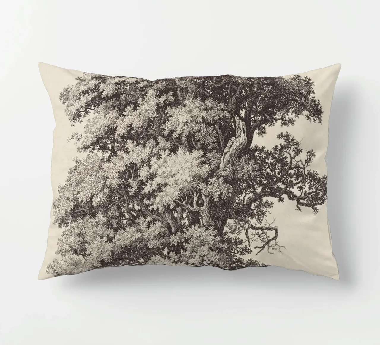 Tree Sketch - Black Oak cuscino da apoloprints