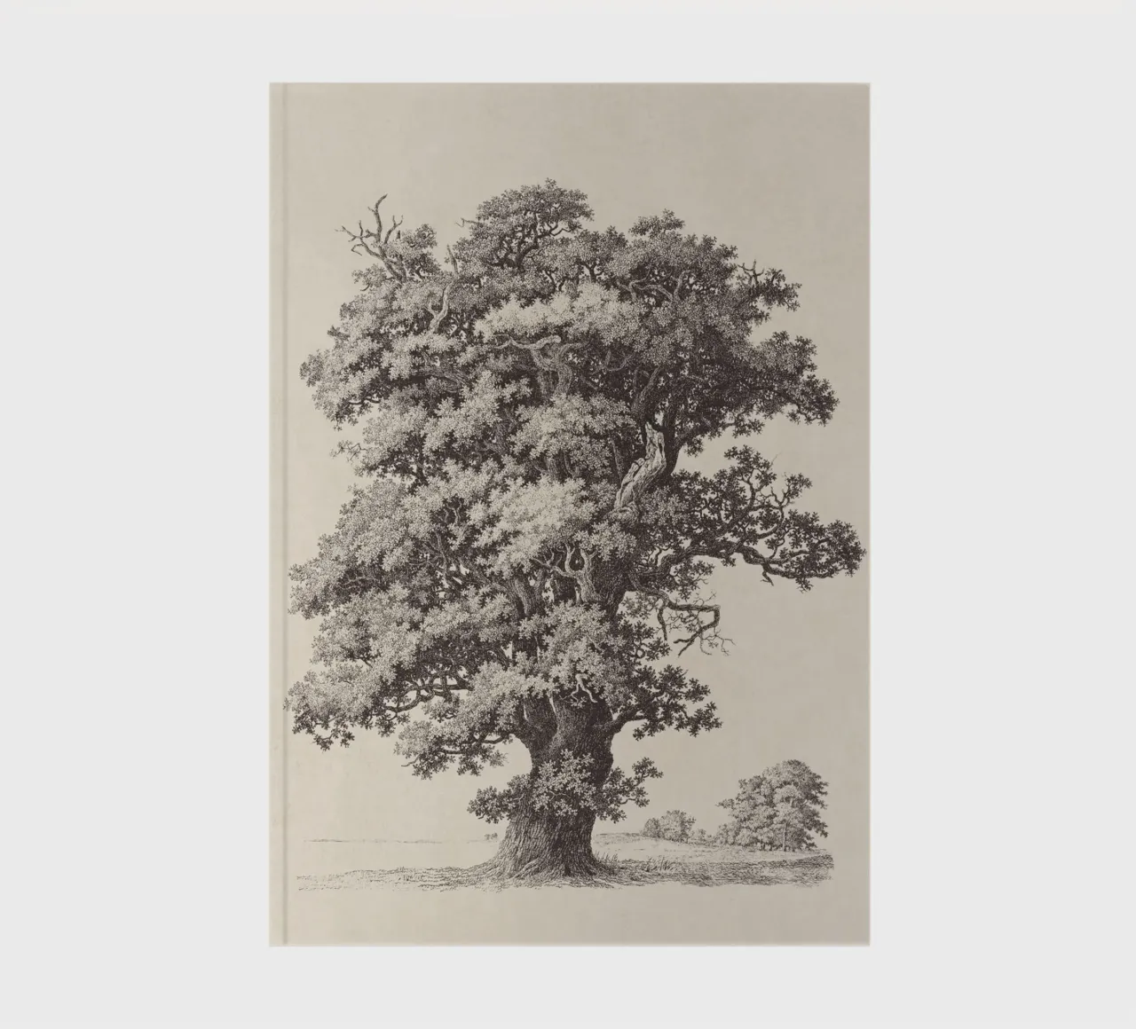 Tree Sketch - Black Oak notebook by apoloprints