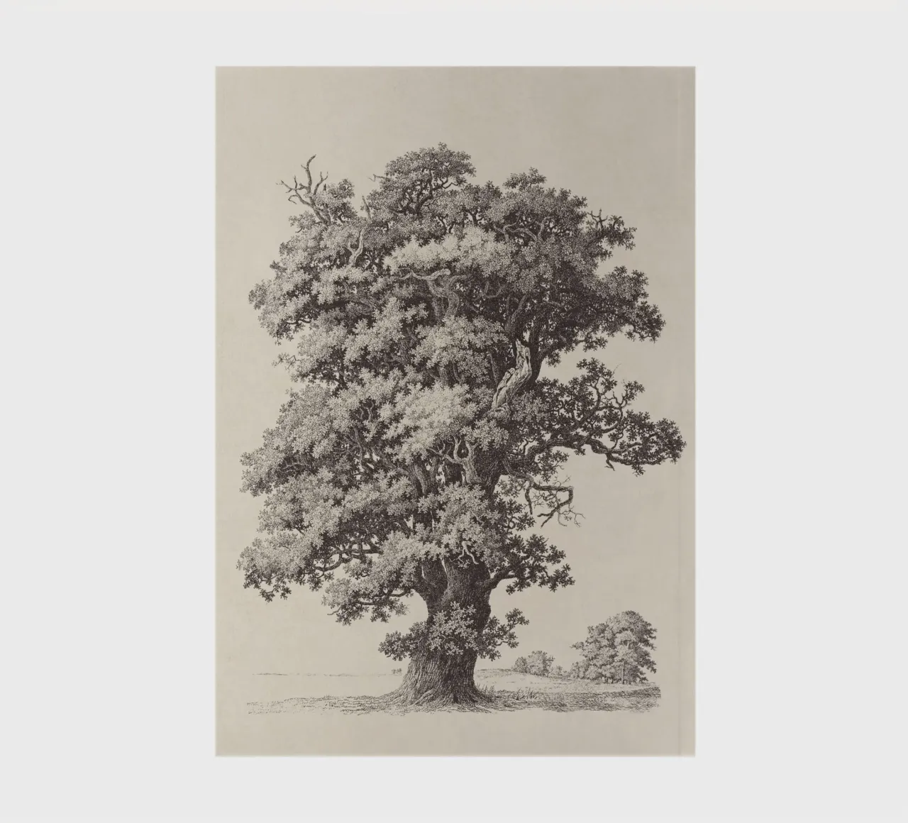 Tree Sketch - Black Oak notebook by apoloprints
