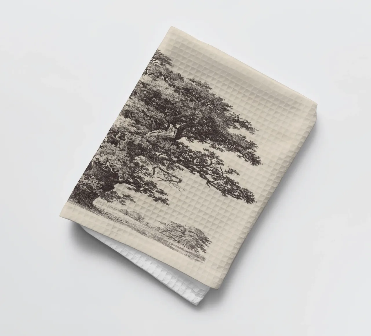 Tree Sketch - Black Oak canovaccio da cucina da apoloprints
